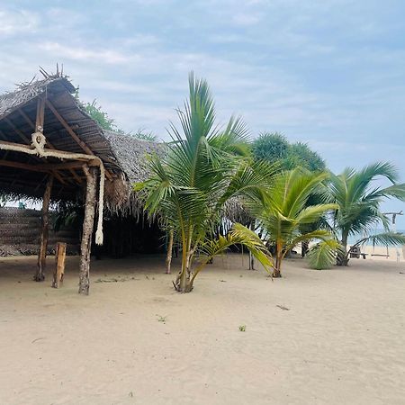 Surfing Beach Nilaveli 亭可马里 外观 照片